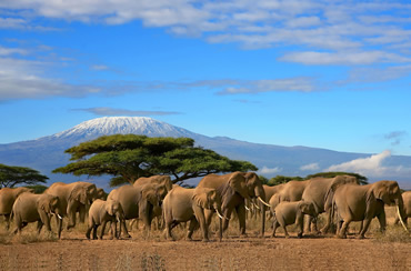 
Amboseli National Park