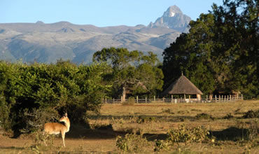 6-Day Mt Kenya Climbing and Samburu Safari